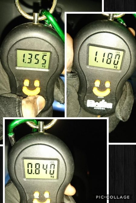 すくすくと成長。